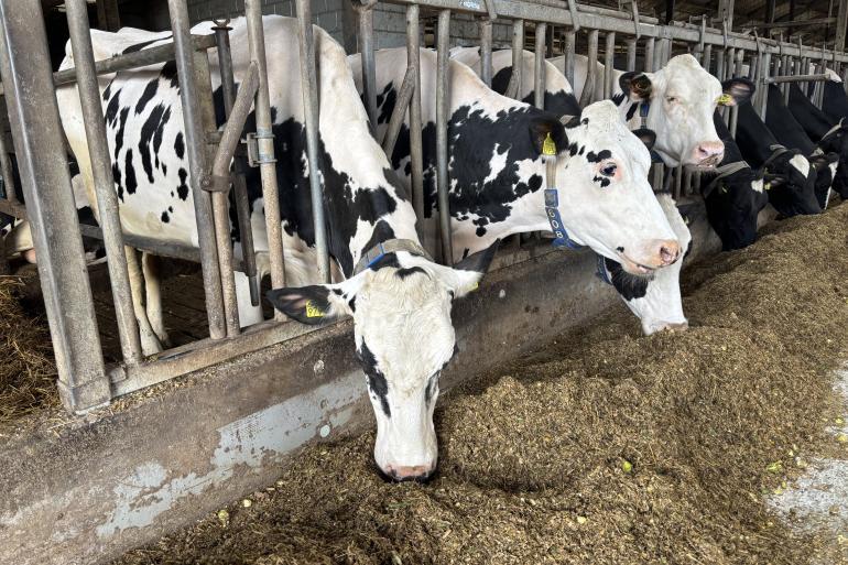 Extra energie voor gerichte ondersteuning op cruciale momenten