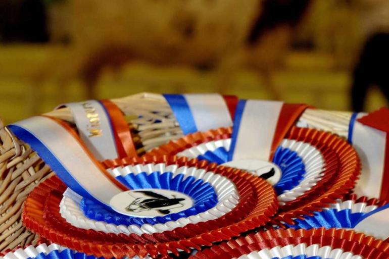 De keuring in Putten vindt nu twee weken later plaats op vrijdagavond 3 juli
