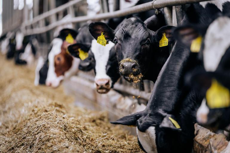 Op ruim 2772 bedrijven in Duitsland wordt gebruik gemaakt van de merkertest