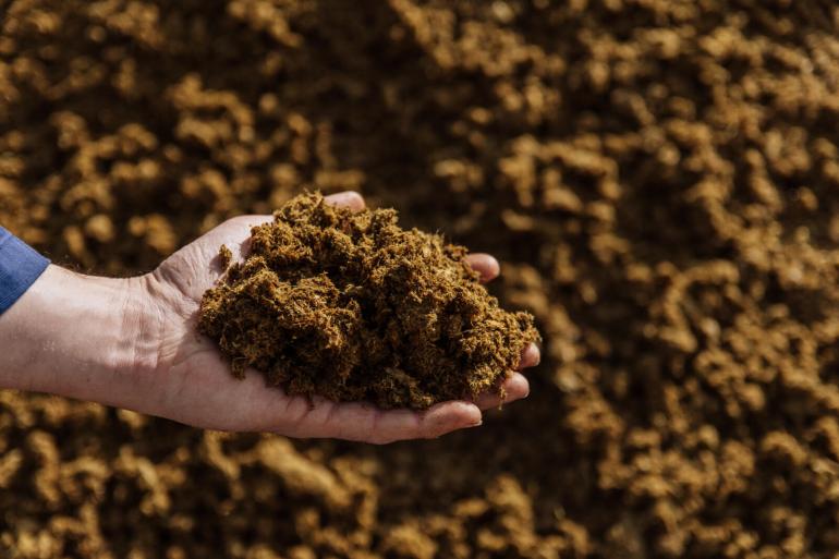 Dikke fractie had de meest positieve effecten onder de grond, kunstmest boven de grond