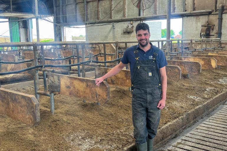 Sinds twee jaar zijn alle ligboxafscheidingen in de stal van melkveehouder Frank Winter uit Vriezenveen van hout
