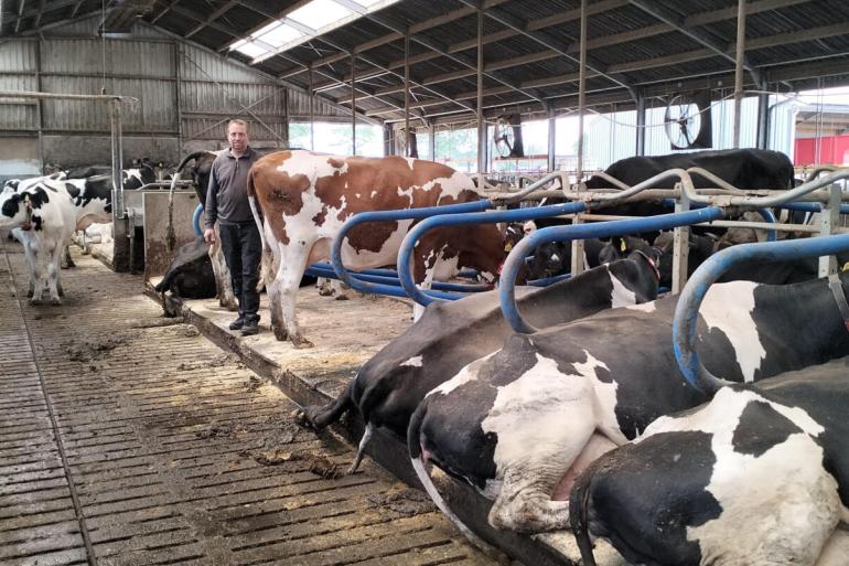 Zijn oog viel niet meteen op de flexibele ligboxafscheidingen, maar vanwege koecomfort koos melkveehouder Marco van Deursen uit Neeritter er uiteindelijk wel voor