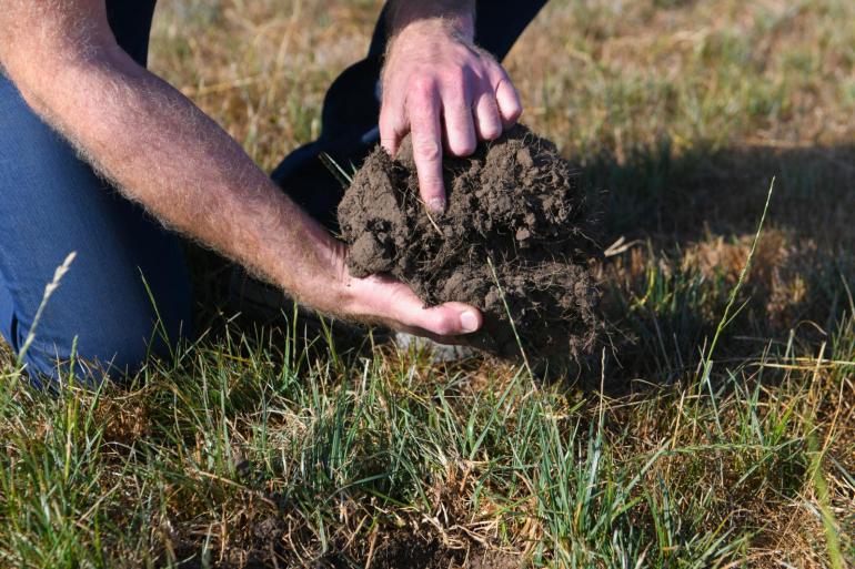 Is het gras kurkdroog en kraakt het bijna, blijf er dan af. 