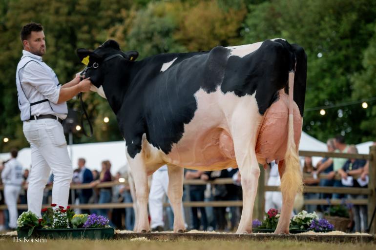 De regerend middenklaskampioene van de HHH-show won in Beesd de titel Barones van de Mariënwaerdt (foto: Els Korsten)