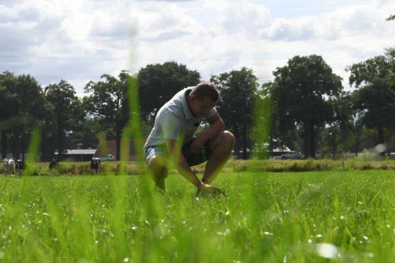 Door de regenval kan de onkruiddruk hoog zijn