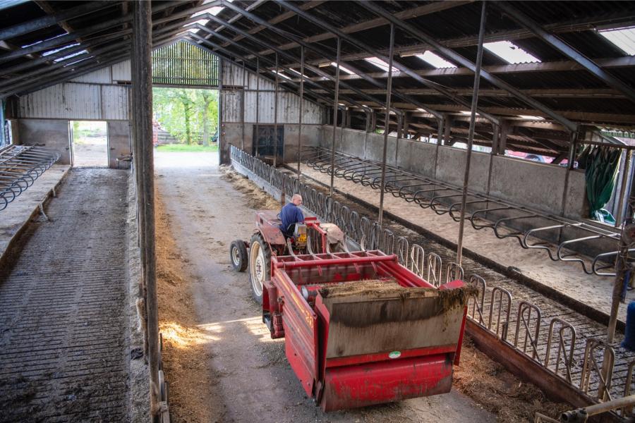 De stal voor de melkkoeien is een eenvoudige 1+1 ligboxenstal die beging jaren negentig werd gebouwd