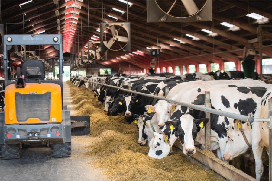 Toen de familie Cornelissen in 2014 het bedrijf overnam zat de oude stal propvol met 380 koeien