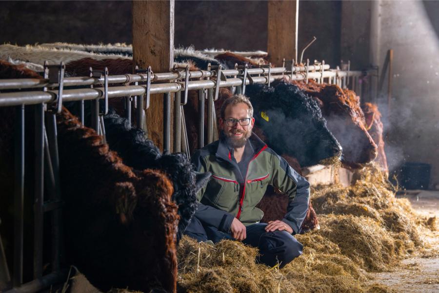 Jorick ten Brinke (35) houdt in het Gelderse Halle naast een kudde bijzondere schapen en een koppel aparte ezels een tiental pinzgauerzoogkoeien