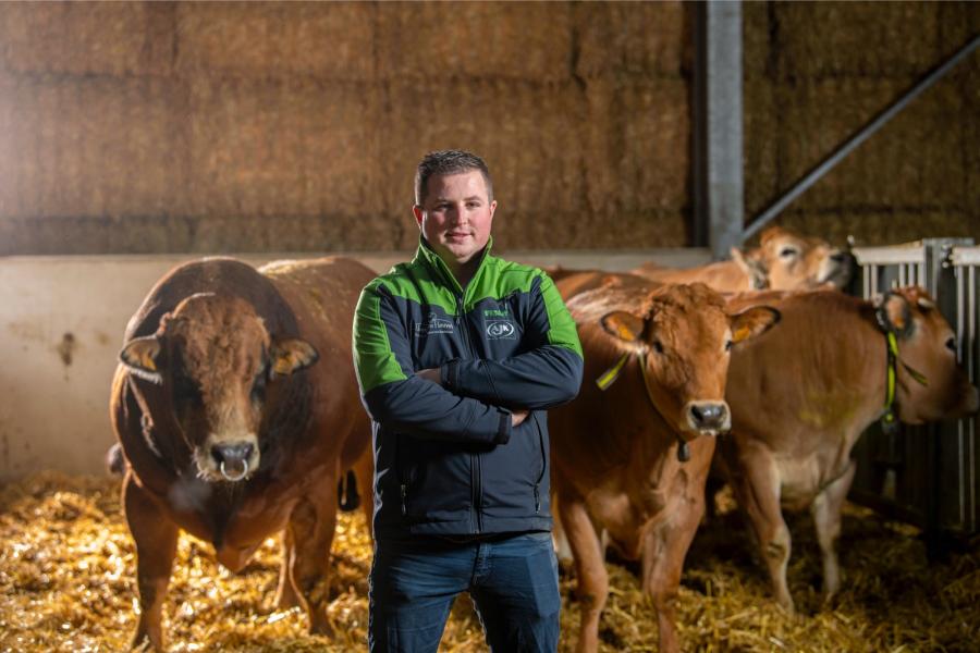 Wout Schuurmans (29) is bedrijfsleider op vleesveehouderij Hoeve De Heuvel met zo’n 270 parthenaisrunderen in het Vlaamse Neerpelt