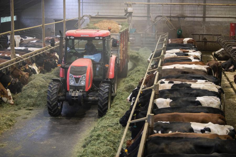Dubbink lost het hooi voor de koeien. Per dag krijgen ze momenteel zo’n 16 kg droge stof uit hooi. De gezondheid en de vruchtbaarheid van de koeien zijn verbeterd door het voeren van hooi. Zo is de tussenkalftijd mt zo’n 20 à 30 dagen gedaald. 