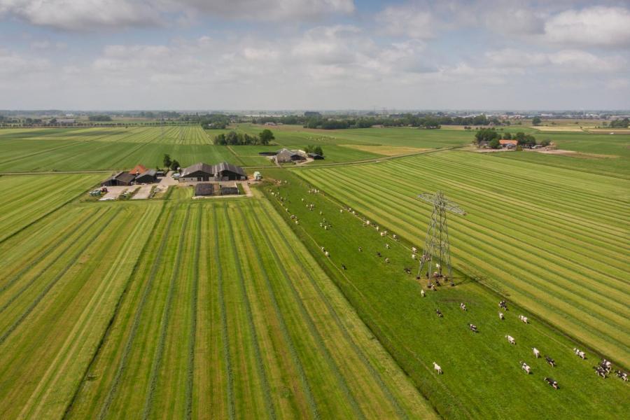 De veehouders hebben ruim 100 hectare grasland en telen slechts 4 hectare mais