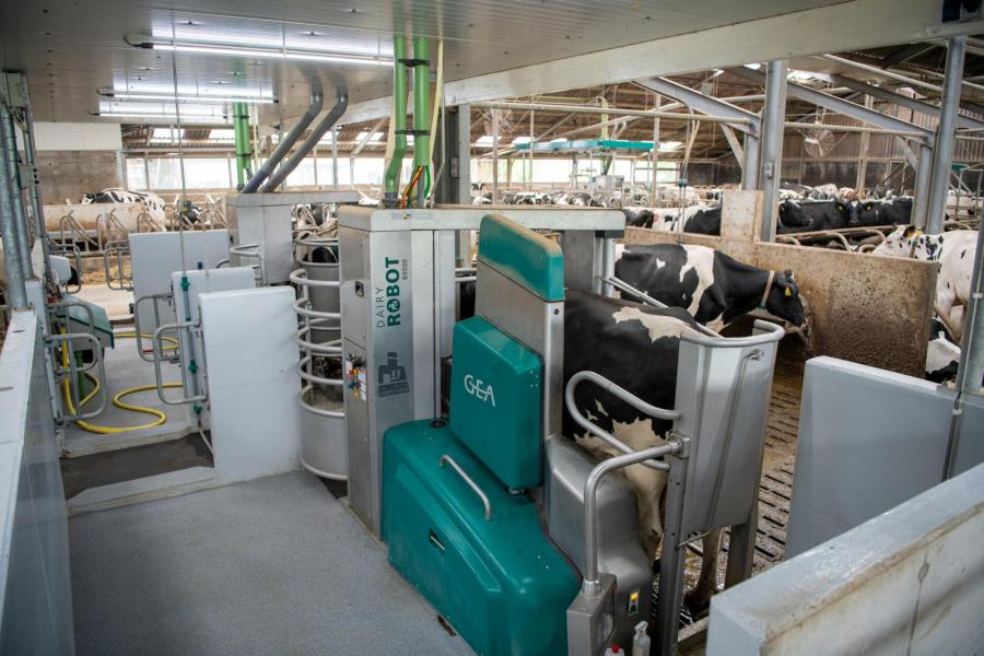 Sinds afgelopen najaar worden de koeien automatisch gemolken met drie eenboxsystemen van GEA