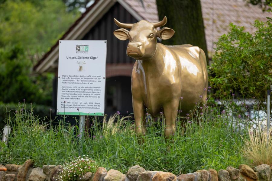 Al twee keer, in 2005 en 2018, wonnen de veehouders de 'Gouden Olga'. Dit is een prijs waarbij de jury niet alleen kijkt naar de melkproductie, maar naar het hele bedrijf en de melkveehouders, zoals diergezondheid en dierwelzijn, sociale aspecten en ecologie