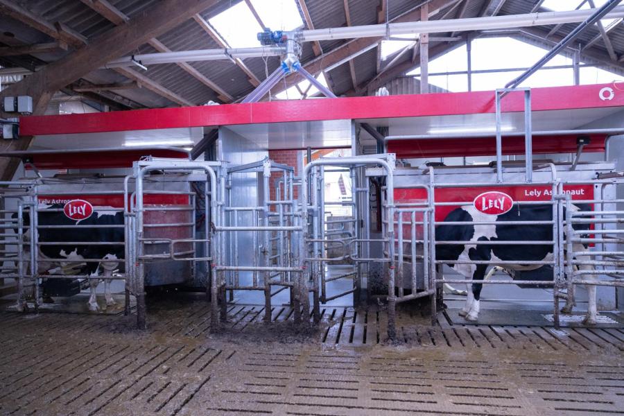 Nu de melkproductie goed loopt, wordt een deel van het geld dat de veehouders verdienen met de neventakken, gebruikt voor investeringen, zoals melkrobots