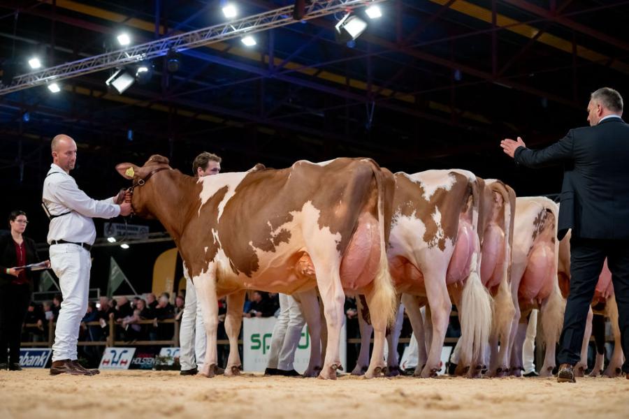 Markus Mock in actie