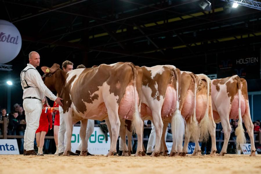 Aan de hand van eigenaar Jaap Jacobi verovert Topcross Jaan 668 (v. Diamondback) het zilver in de middenklasse