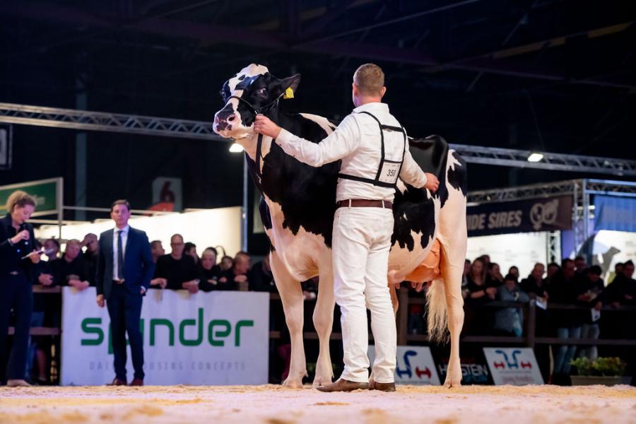 Voor de tweede keer op rij is Heerenbrink Angelina (v. Devour) van de familie Steegink uit Okkenbroek en ALH Genetics de winnares in de middenklasse