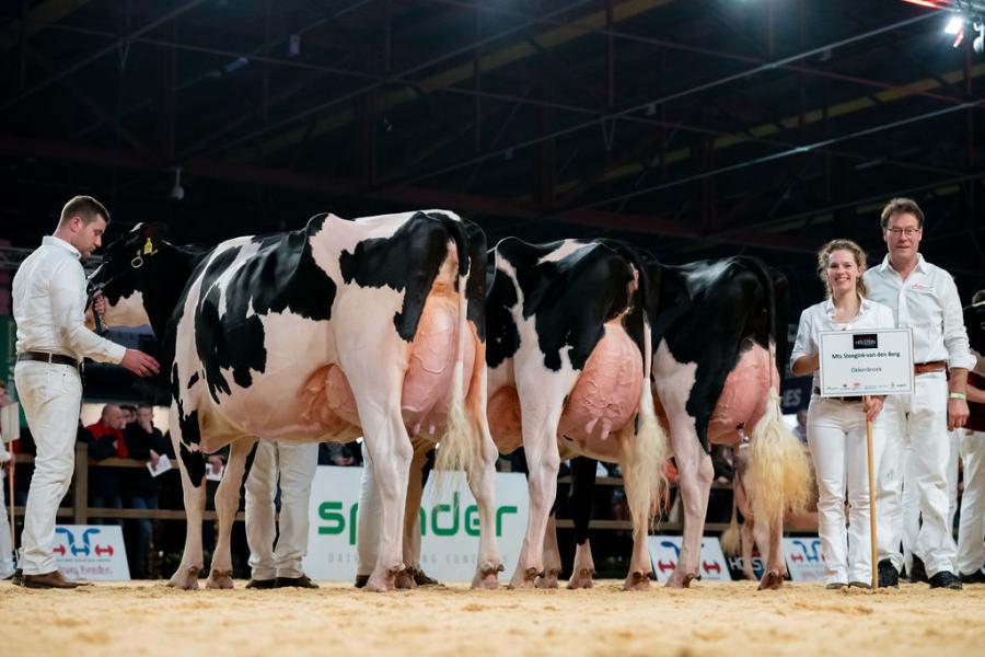 De familie Steegink won met haar drietal de bedrijfsgroepencompetitie bij zwartbont