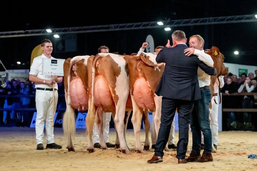 Bedrijfsgroep roodbont