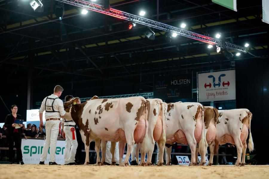 Nogmaals prijs voor Curtis: zijn dochter Bossink Gerda 64 van Gerrit en Gerina van der Kolk uit Wierden verdiende de eervolle vermelding