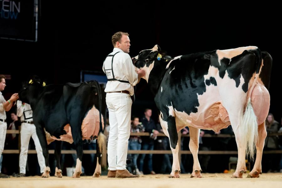 Bons-Holsteins was in alle finales bij zwartbont present en won zilver bij de oudere koeien met Bons-Holsteins Roza 76 (v. Dempsey)