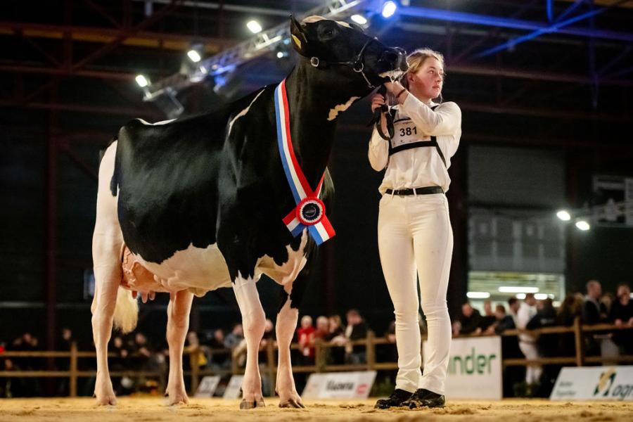 De kersverse Friese kampioene Topcross Janice 1 (v. Charityman) van Jaap en Ina Jacobi uit Garijp eist ook de seniortitel op de HHH-show op