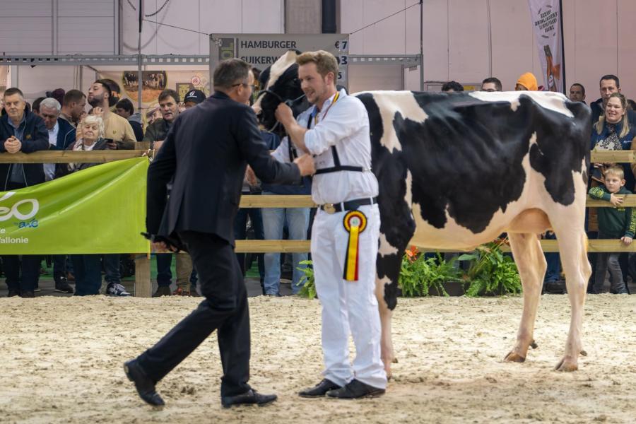 Stijn Peeters ontvangt de felicitaties nadat zijn Lampritsie (v. Lambda) op drietal eindigt bij de vaarzen