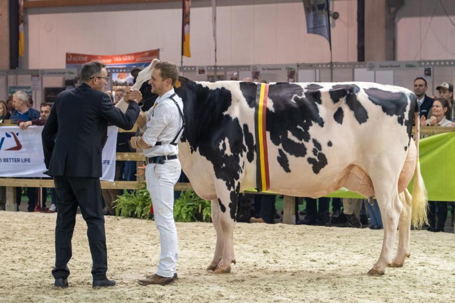 Het algemeen kampioenschap is voor Maxima de Bois Seigneur (v.Chief) 