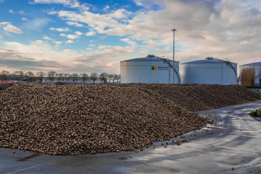 De weg van perspulp start bij het verwerken van de suikerbieten in een fabriek van Cosun Beet Company. Van circa 8.300 bietentelers wordt tijdens de bietencampagne zo’n zeven miljoen ton suikerbieten op de opslagplaatsen gelost