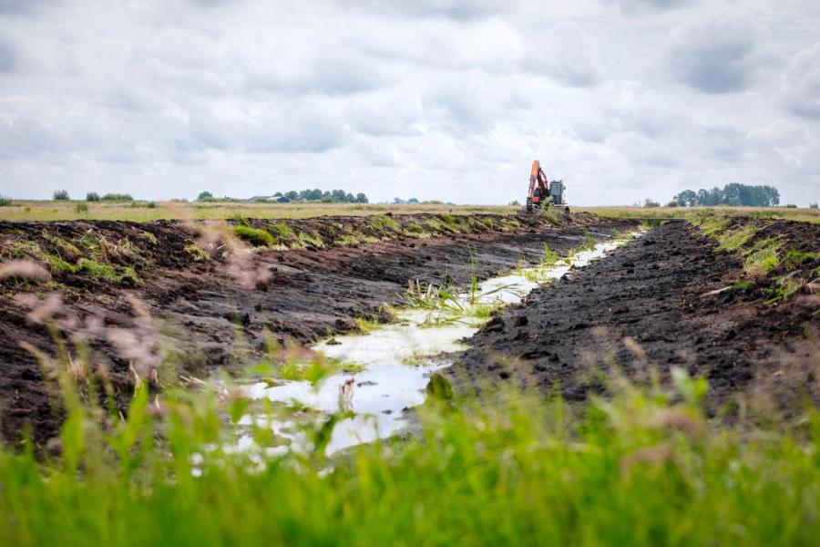 Graafwerkzaamheden voor de aanleg van nieuwe percelen voor de teelt van lisdodden