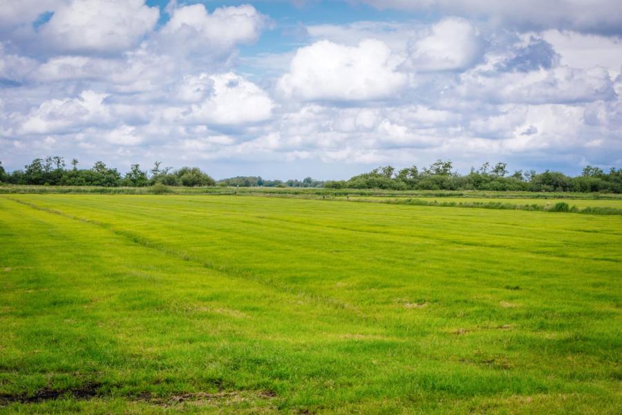 De polder de Hegewarren is 360 hectare groot en heeft een agrarisch karakter. 