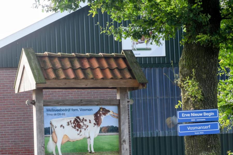 Op het bedrijfsbord prijkt Irma 68. De Curtisdochter won afgelopen jaar de seniortitel op de HHH-show en produceerde al meer dan 115.000 kg melk