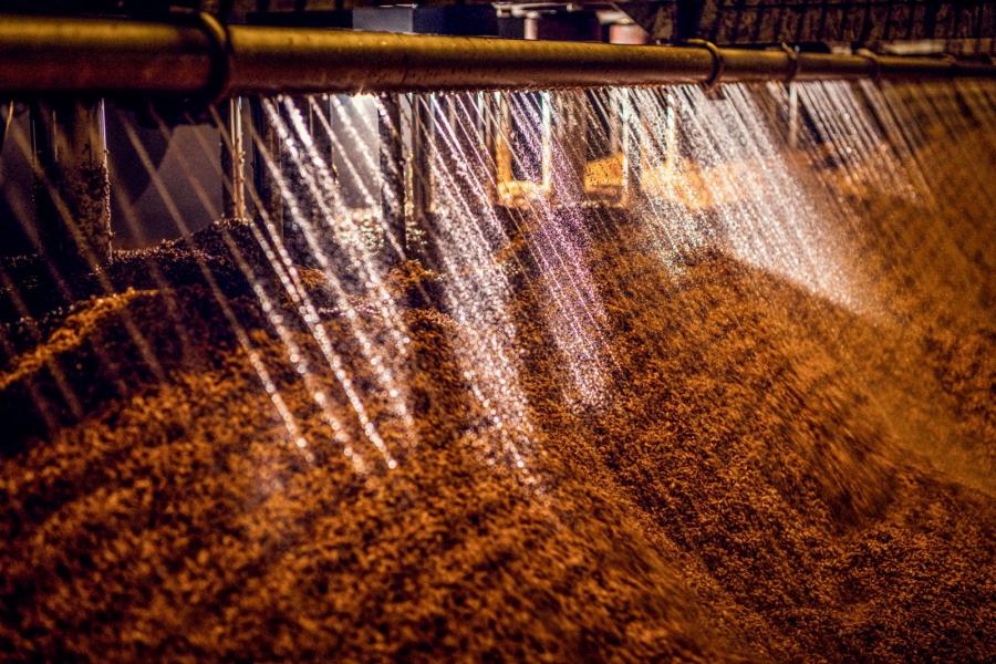 De weg van bierbostel start bij het bierbrouwen in het brouwhuis. In dit proces wordt mout gemengd met water en op verschillende temperaturen verwarmd