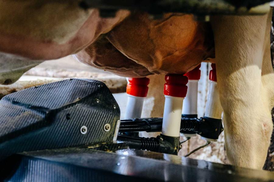 Het weekgemiddelde van de robot tikte in mei voor het eerst de 50 kg per koe per dag aan. Het rollend jaar gemiddelde ligt op 13.746 kg melk met 4,14% vet en 3,40% eiwit