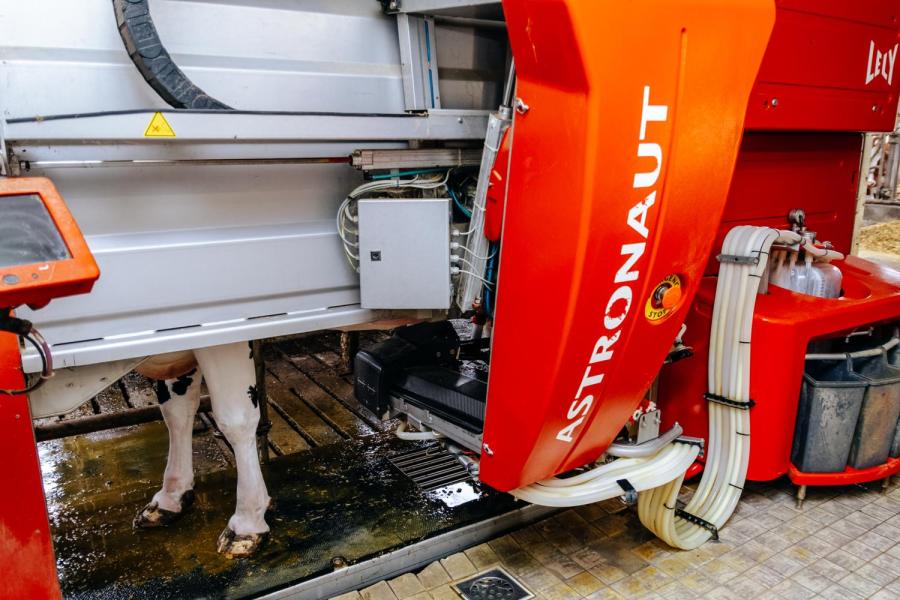 Een Lely A2 maakte vorig jaar plaats voor een gereviseerde Lely A3. Met de vernieuwde robot, die sneller melkt, lukte het om afgelopen jaar ruim 8 ton melk te produceren. De melksnelheid ligt gemiddeld op 3,7 kg melk per minuut en er is nog twintig procent vrije tijd op de robot