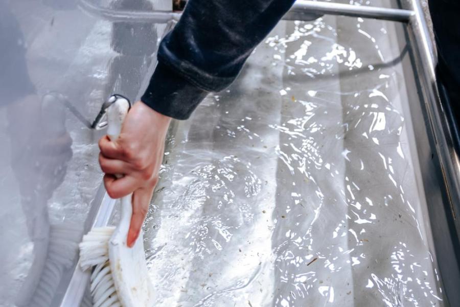 Aan schoon drinkwater hechten de veehouders veel waarde. Bij elke waterbak hangt een borstel en elke dag maken ze de bakken schoon