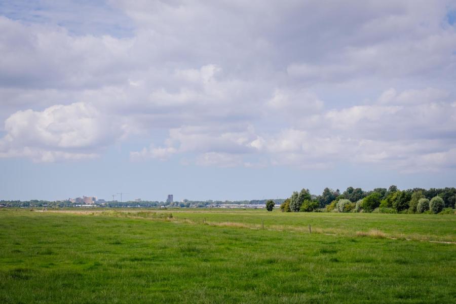 Met 50 tot 55 hectare grasland achter de boerderij voor weidegang richten de veehouders zich op optimaal weiden