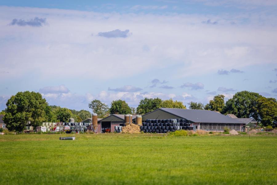 De familie Roos neemt samen met andere boeren, de gemeente en de provincie deel aan een gebiedsproces voor de toekomst van de Rondehoep, de polder waarin ze boeren 