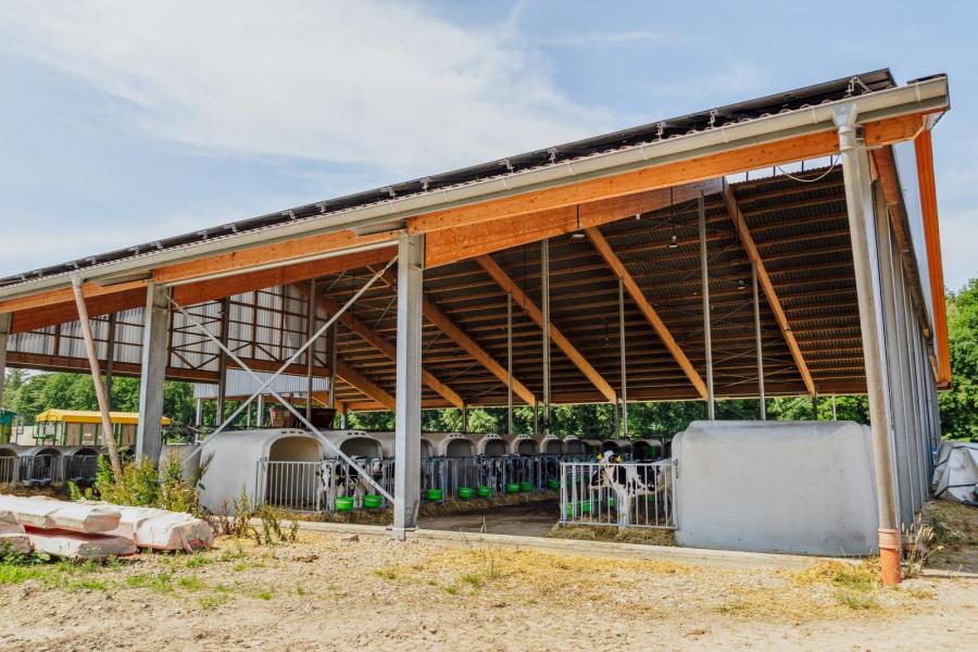 Recent werd op het bedrijf een nieuwe stal gebouwd waar alle kalfkoeien, hoogdrachtige vaarzen en jonge kalveren onder één dak zijn gehuisvest.
