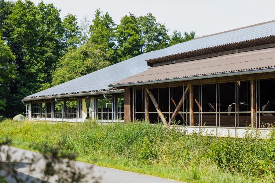 Zonnepanelen voorzien in de eigen elektriciteitsbehoefte. Om meer zonne- en vergistingsstroom zelf te kunnen benutten oriënteren de ondernemers zich op de mogelijkheden om het machinepark te elektrificeren. 