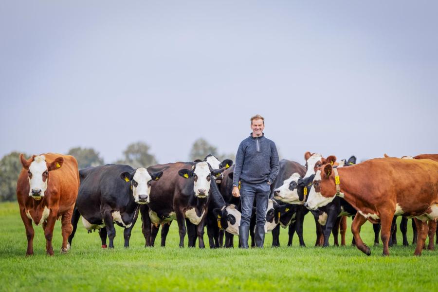 Van oudsher in het groene gebied tussen de steden Utrecht en Leiden blaarkoppen gehouden. Toen veel veehouders ging kruisen met holstein bleef de familie Warmerdam het ras trouw.