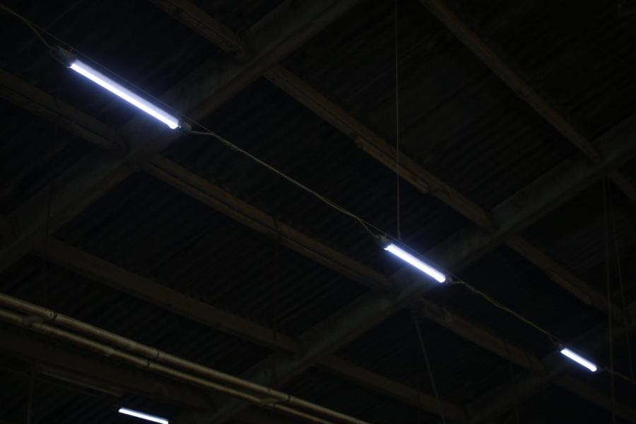 In samenwerking met een fabrikant experimenteerde Kusters met een nieuw verlichtingsregime. Zestien uur 180 lux blauw licht leverde 8 procent meer melk op