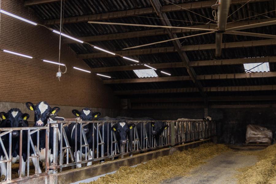 De propeller die eerder in de koeienstal hing is verplaatst naar de jongveestal