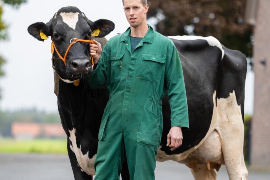 In zijn 'eigen' fokkerij gebruik Kusters vooral bewezen stieren met passende aAa-codes