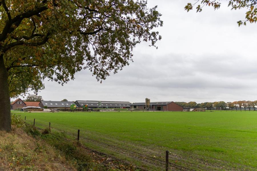 Op de zandgrond zijn hoge opbrengsten van gras en mais  mogelijk maar daarvoor is beregenen in de meeste jaren noodzaak