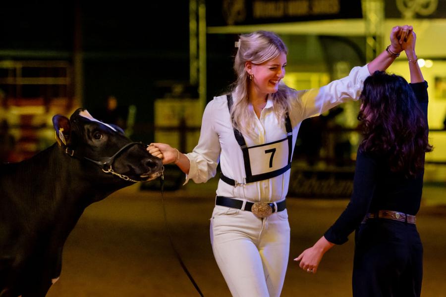 competitie Young Breeders HHH-show 2025