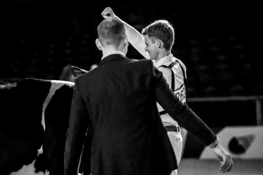 competitie Young Breeders HHH-show 2025