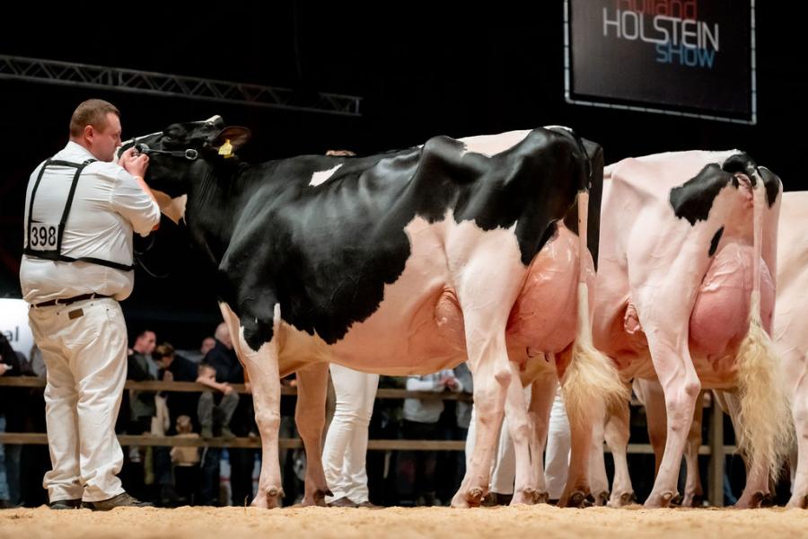 De familie De Groot uit Everdingen won de titel in de middenklasse zwartbont met Lambda Ashlyn (v. Lambda), een verre nazaat van de Amerikaanse keuringskoe Tri-Day Ashlyn