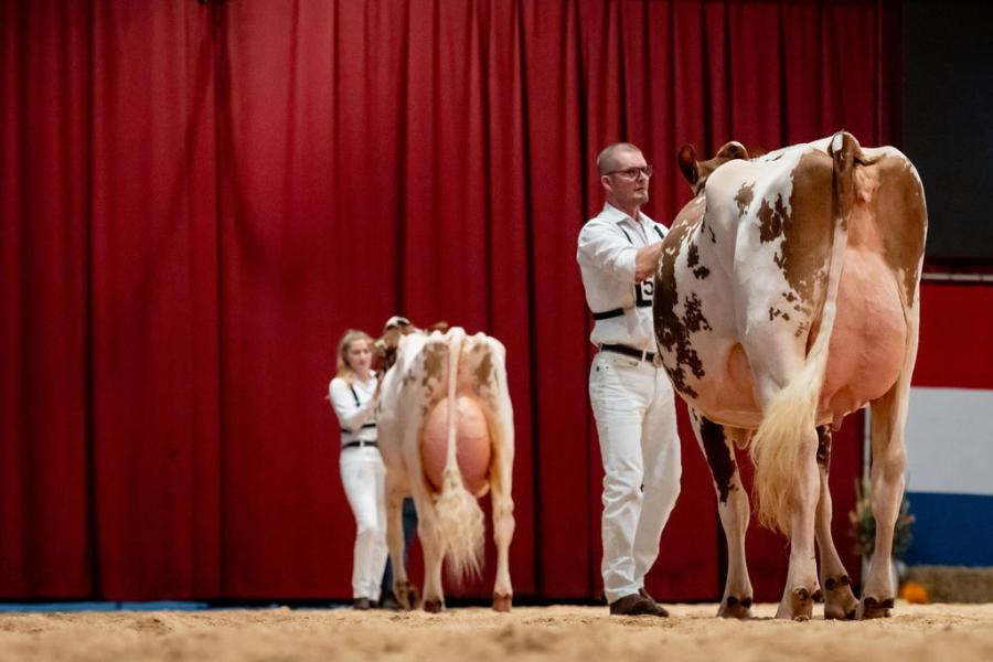 De Tienmorgen Liza 436 (v. Rompen) veroverde in de middenklasse het tweede brons van de dag voor de families Goossens en Van Overbeek 