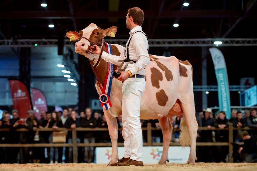 Vorig jaar pakte P.M. Roselyn 8 (v. Leno) het zilver bij de vaarzen, nu was er goud in de middenklasse voor de Lenodochter van de kersverse fokker van het jaar, de familie Pinkert uit Markelo